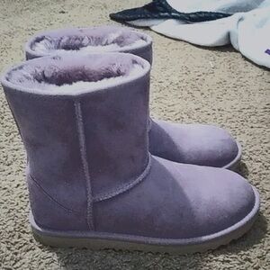 Classic Short Lilac Uggs